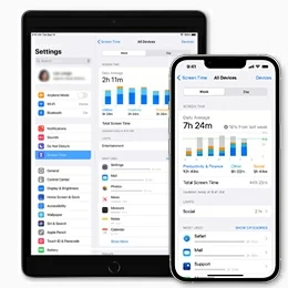 Reset Screen Time Code