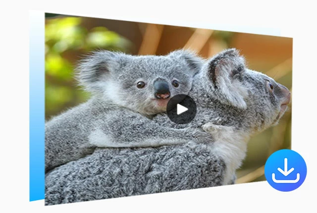 Quick Access for Video Downloading