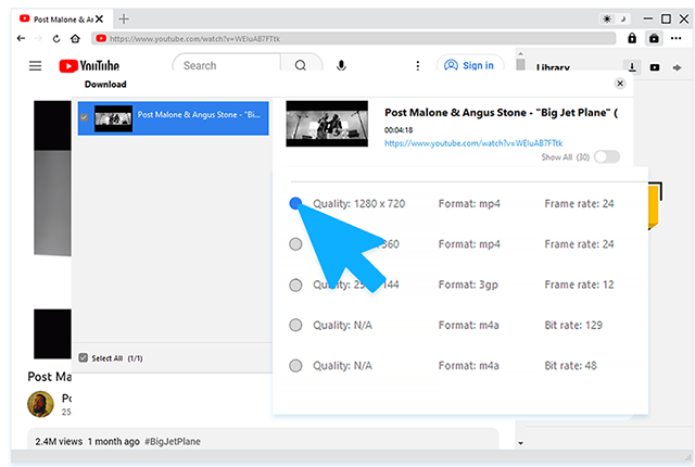 Choose the download options